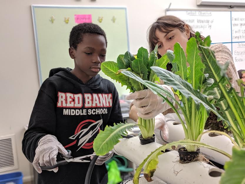 Middle school students in Monmouth County learn about sustainable food growth