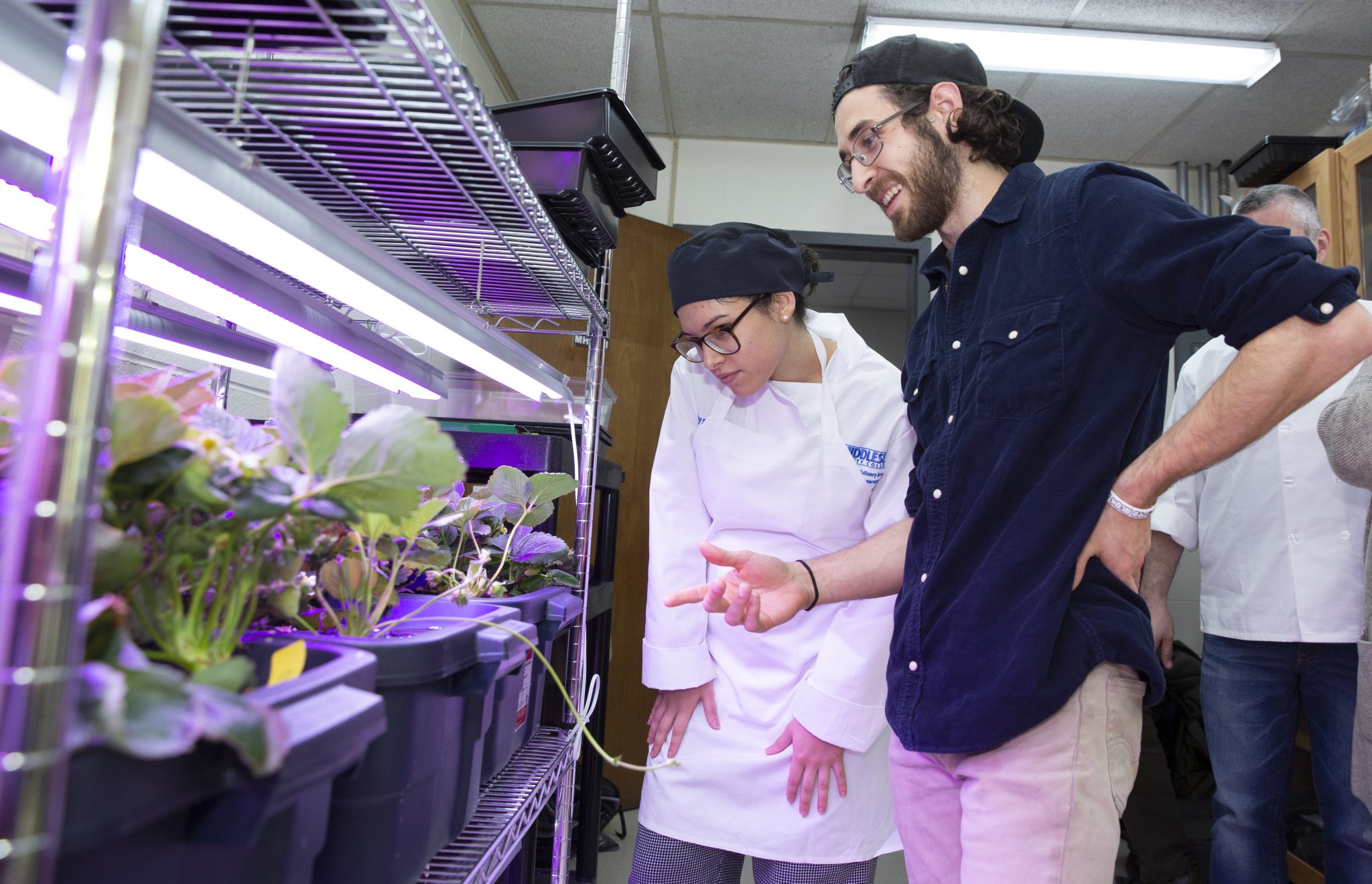 Food grown at Middlesex County College is making its way to the table