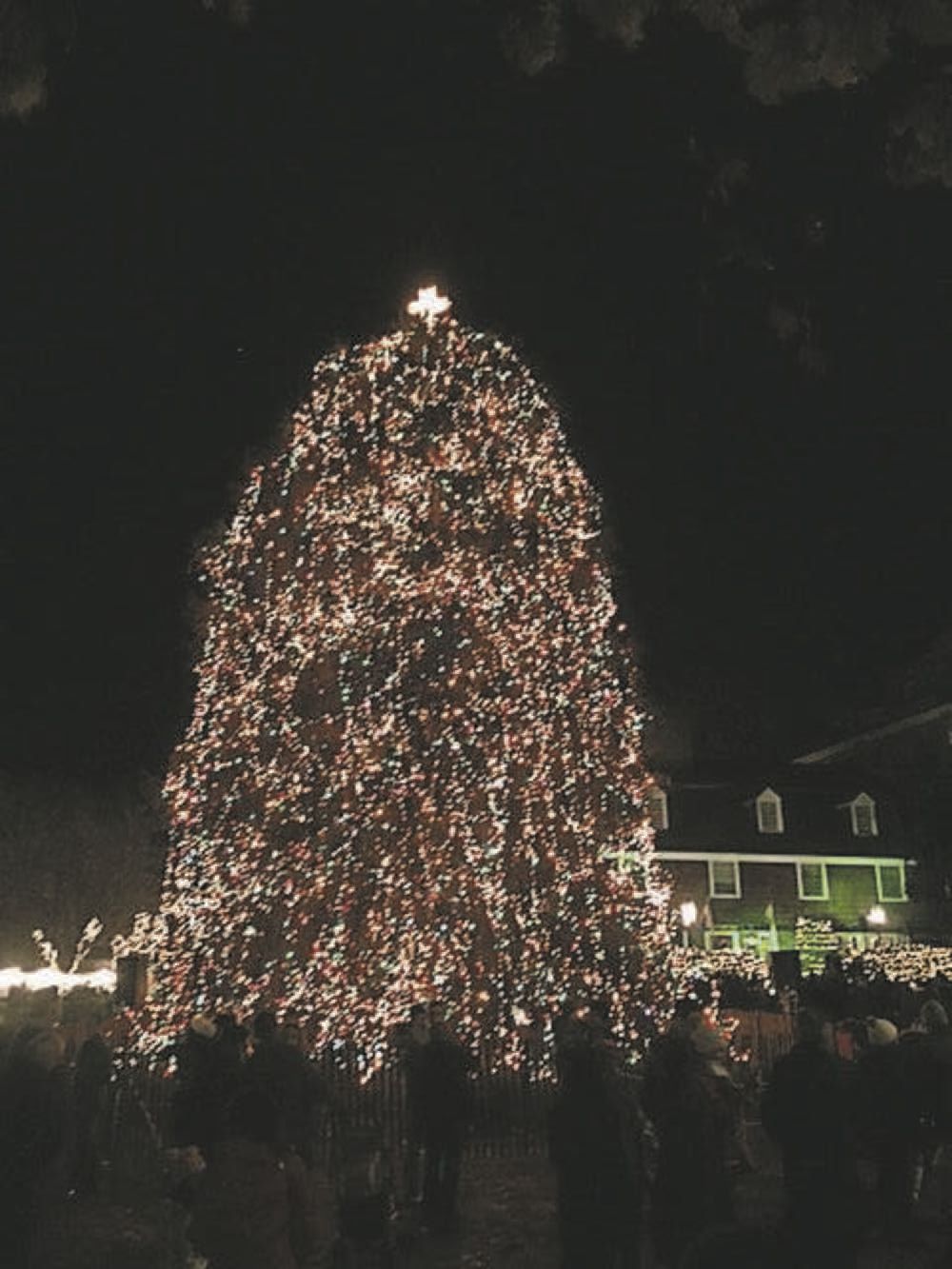 Sparkling lights will illuminate the Metuchen downtown during holiday season