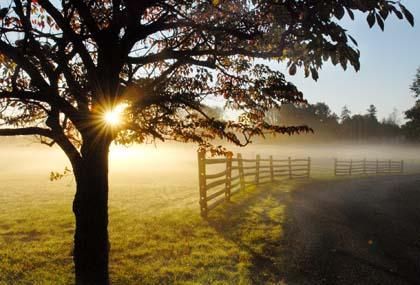 Spring cleanup day will occur at Princeton Battlefield State Park