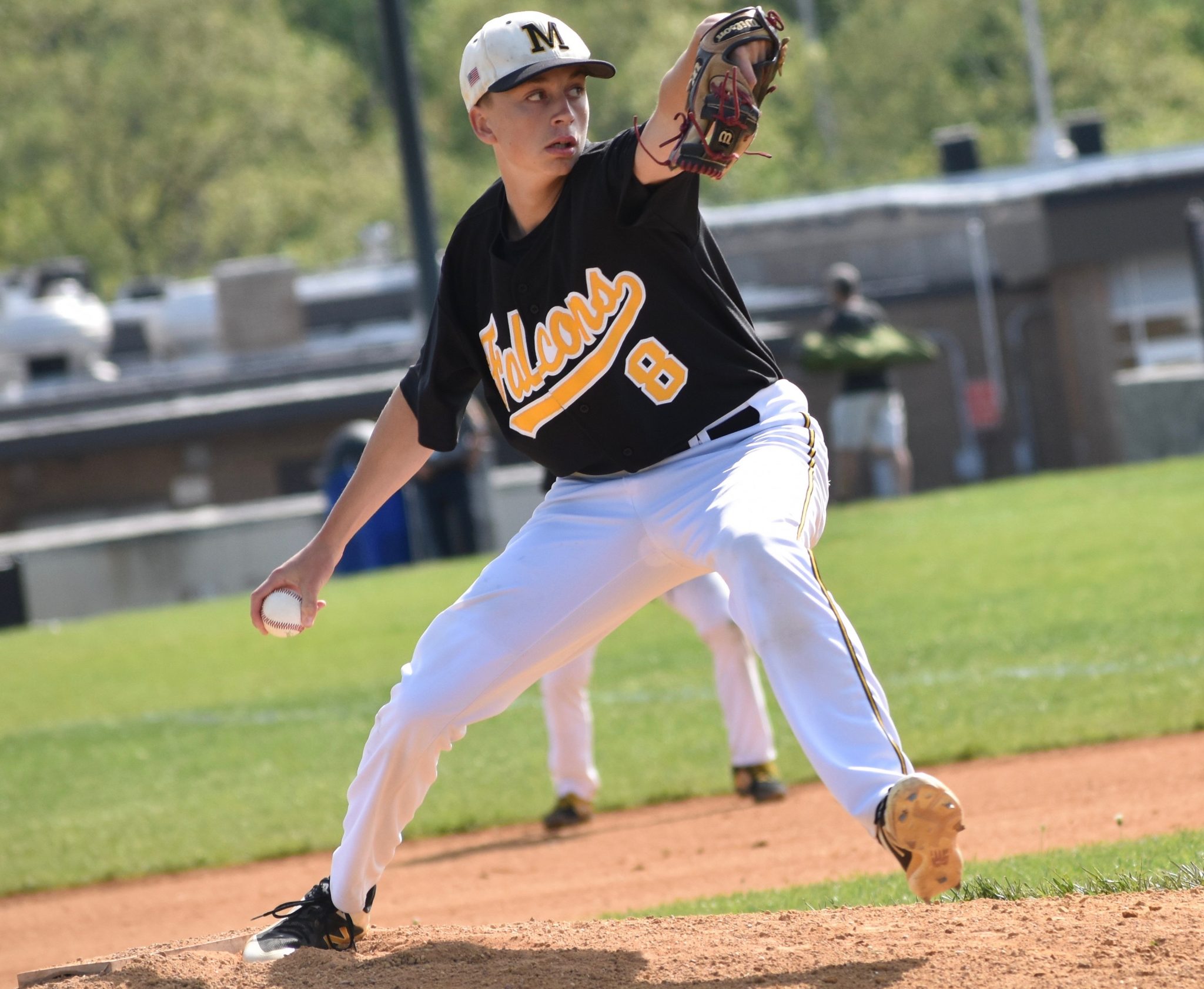 Falcons end losing skid on diamond with pitching gem from Schade