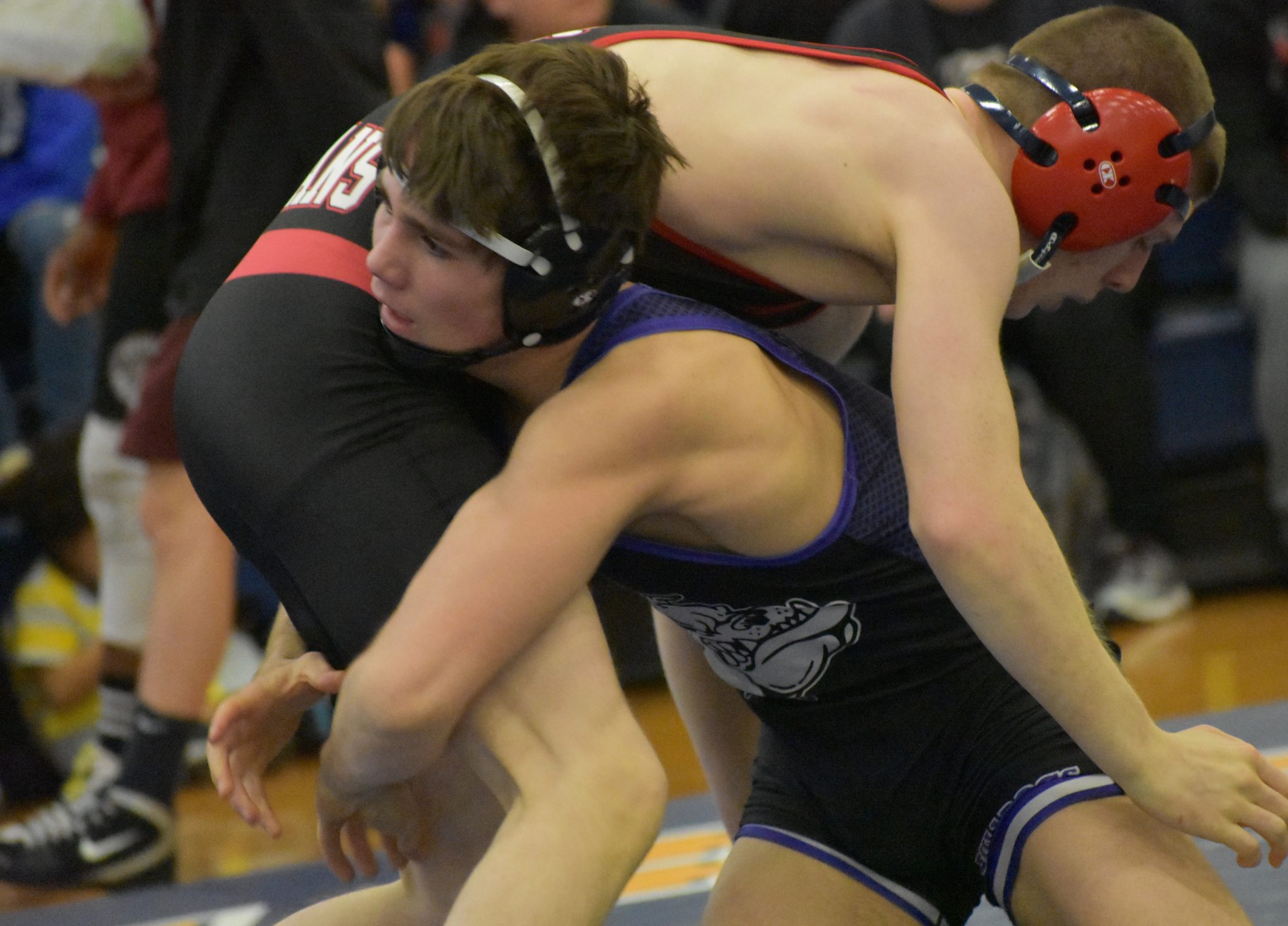 Bulldogs bid to be among Shore Conference’s top wrestling teams