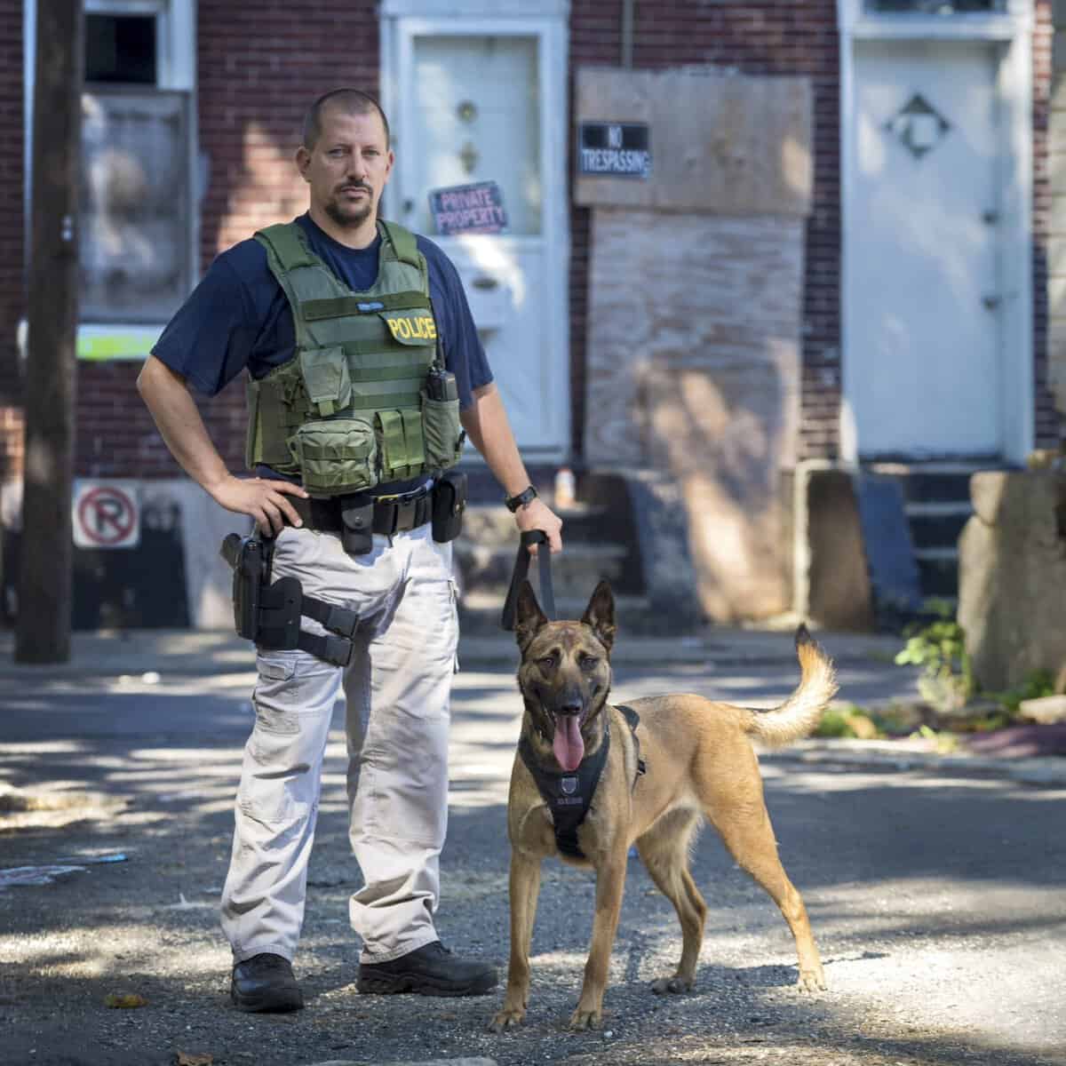 Mercer County K-9 competes in televised Detection Dog Challenge