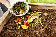 SOLUTIONS 4/8: Preserving local environments through composting