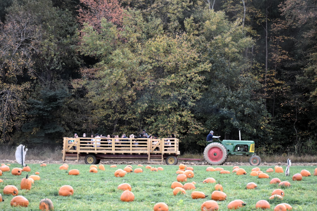 Von Thun’s Country Farm Market offers fall fun through November