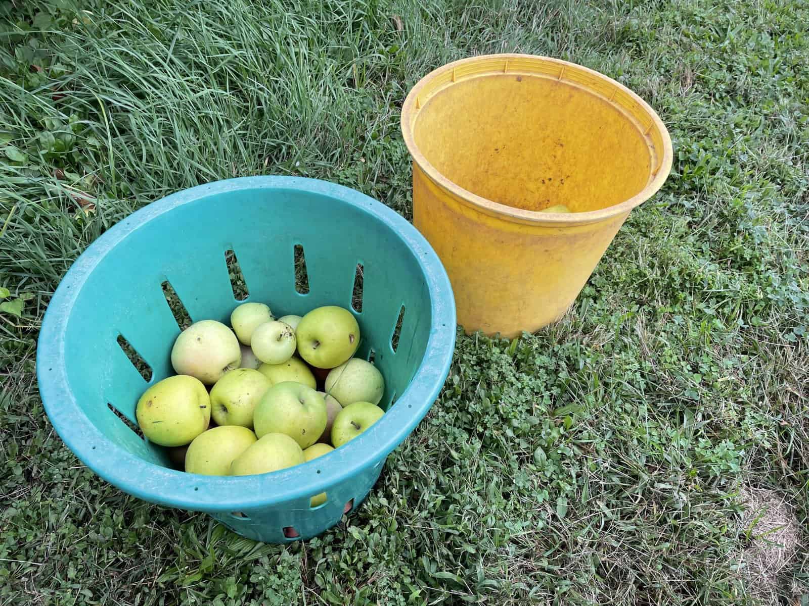 Madison-Old Bridge Township Historical Society to present 55th annual Apple Festival Nov. 12