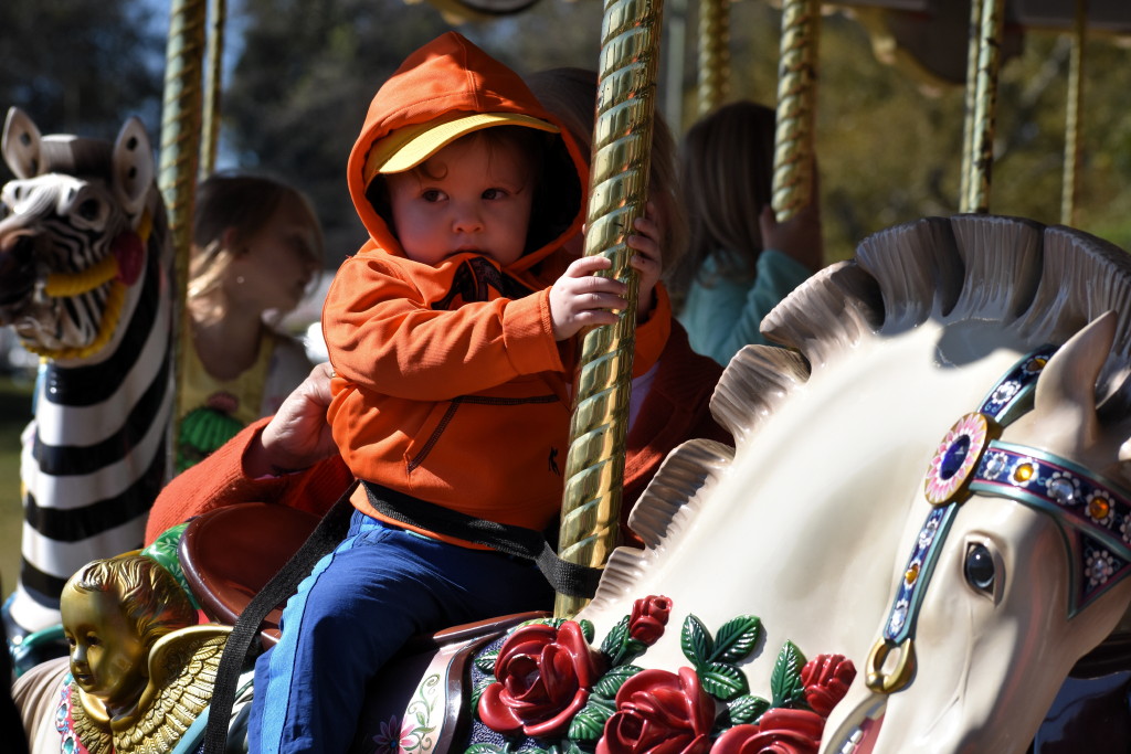 Holmdel Harvest Fest