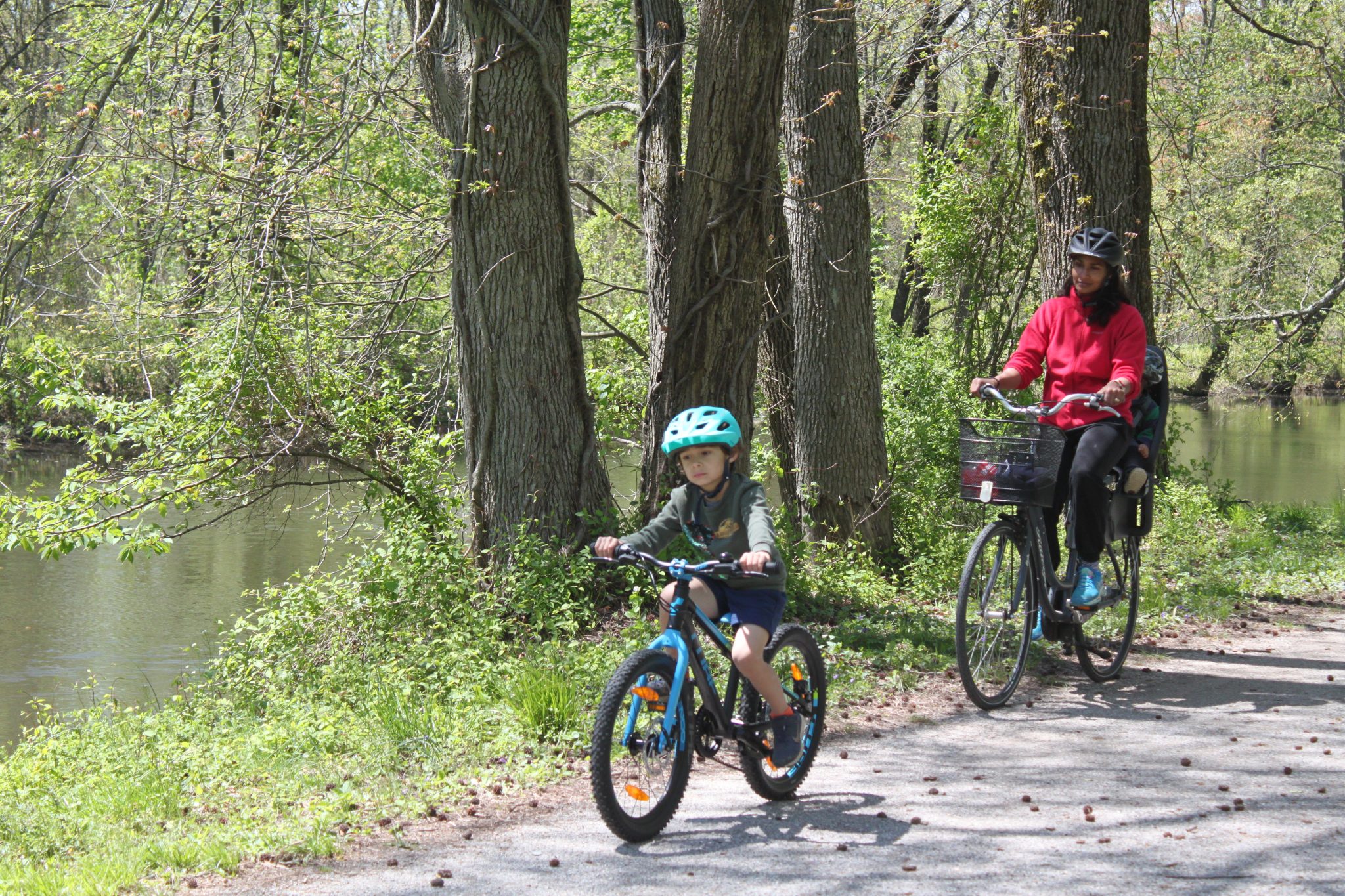 Princeton receives state grant to expand shared bicycle-pedestrian path on Cherry Hill Road