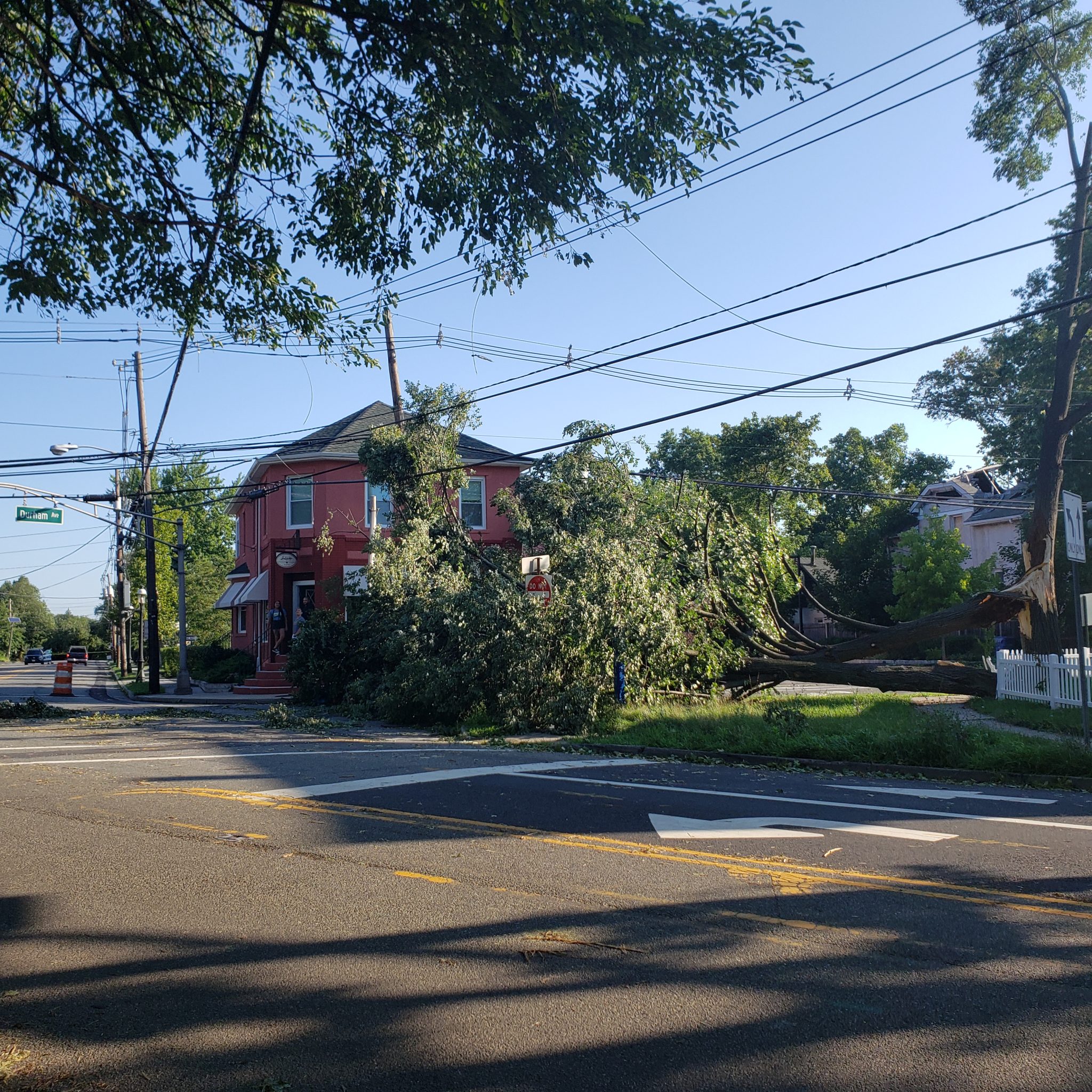 Metuchen to focus on recycling costs and tree maintenance as they look forward to 2021