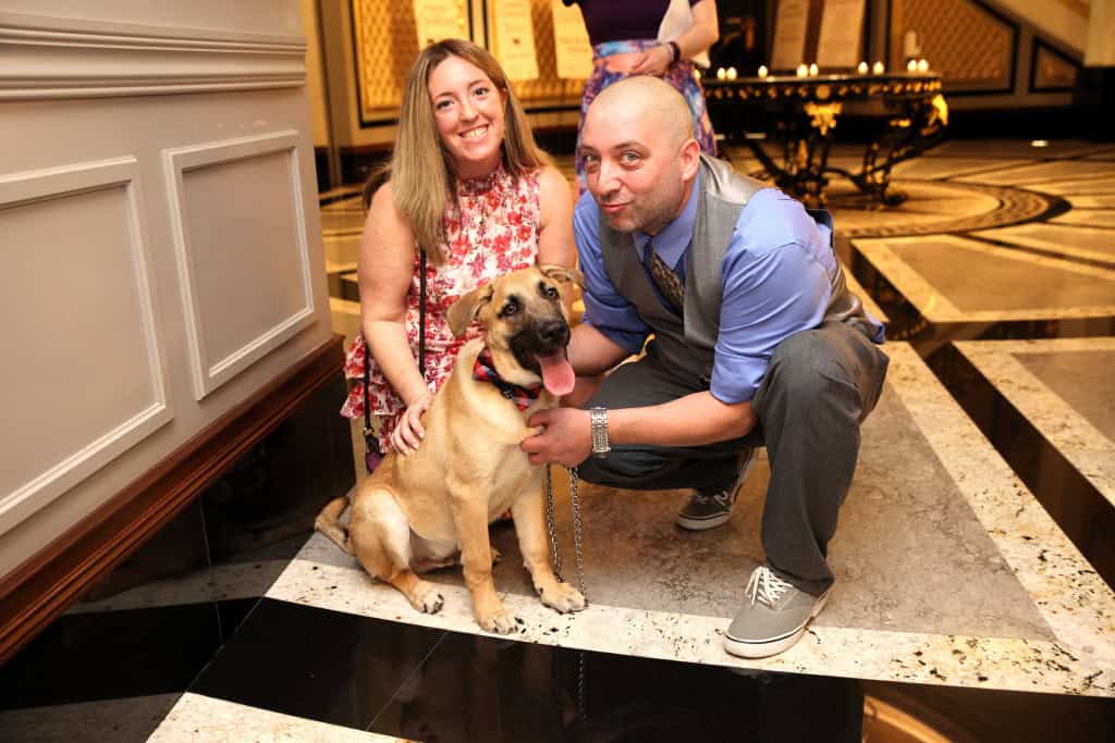 People and pups come together to support Monmouth County SPCA Fur Ball Gala