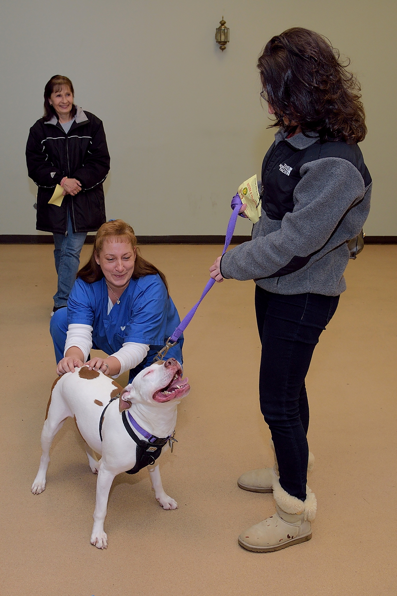 Free rabies clinic tonight for pets owned by North Brunswick residents