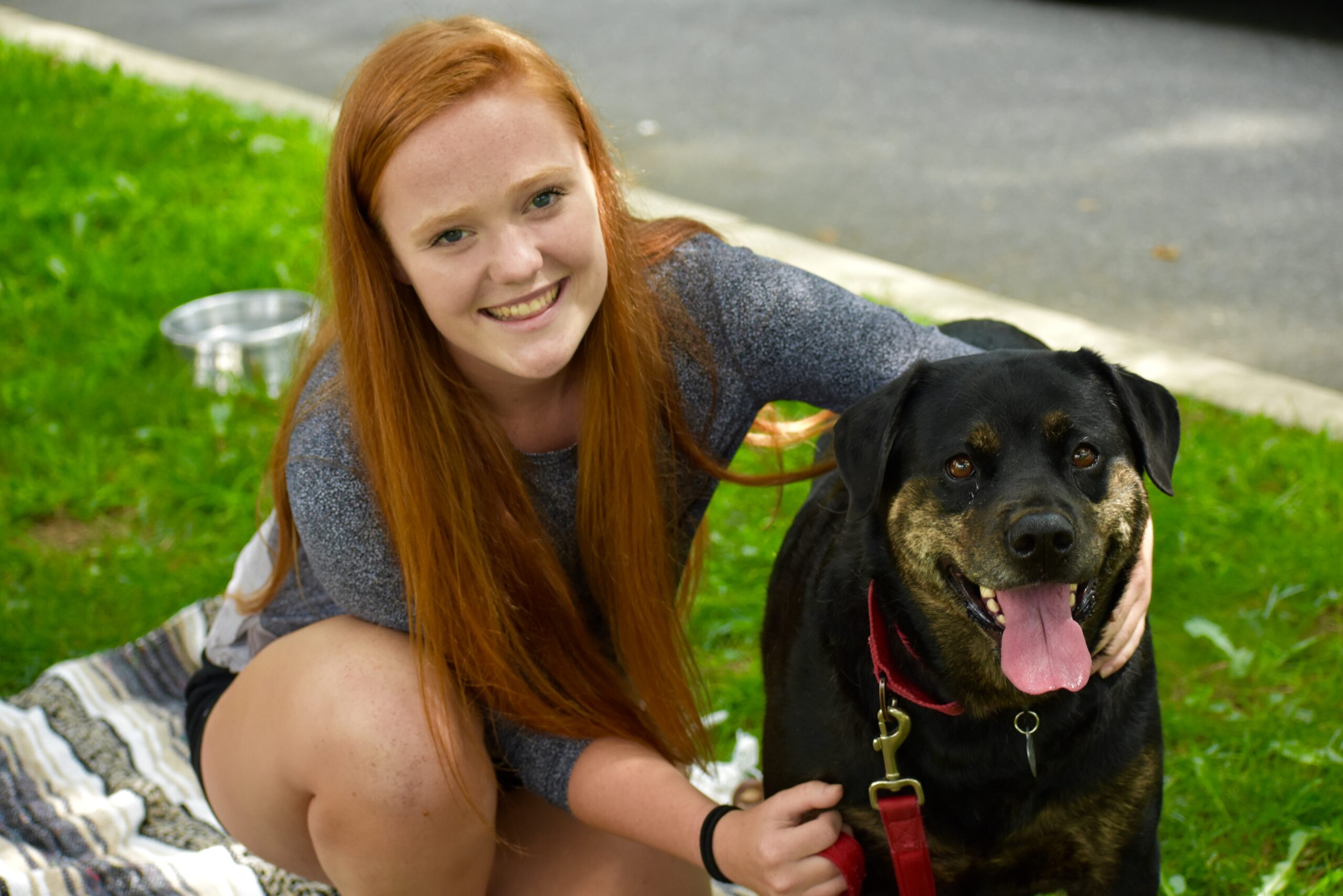 Monmouth County SPCA oversees 60 animal rescues at annual event