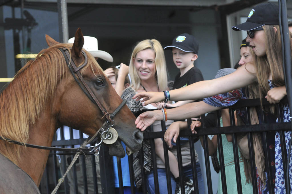 Countdown to 50th betfair.com Haskell Invitational begins