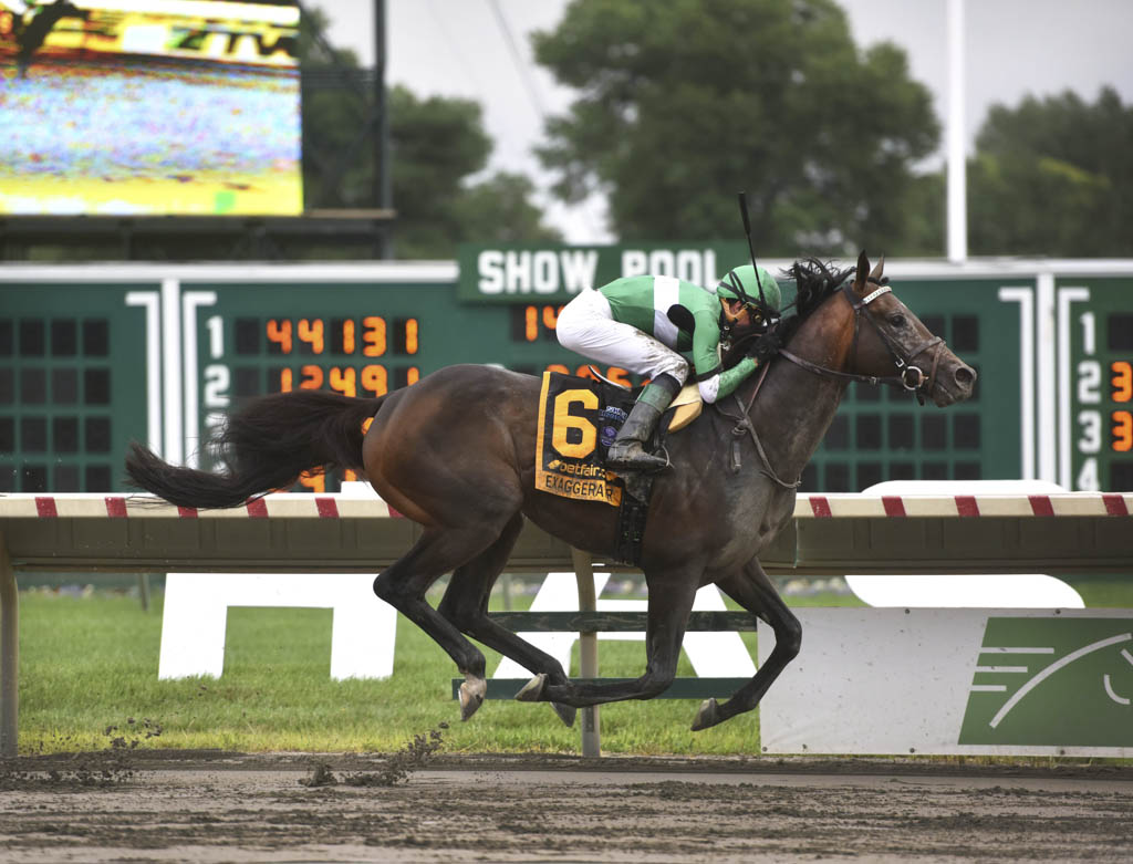 Hometown horse is favorite to win 50th Haskell