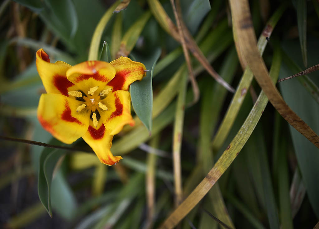 Garden Club meets third Saturday of every month