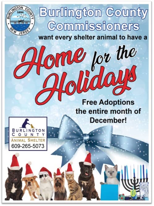 Burlington County Animal Shelter waives adoption fees for December