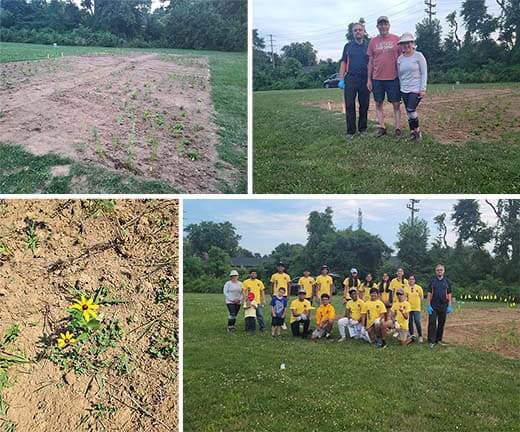 Bordentown Township’s pollinator garden hopes to attract native pollinators on the decline