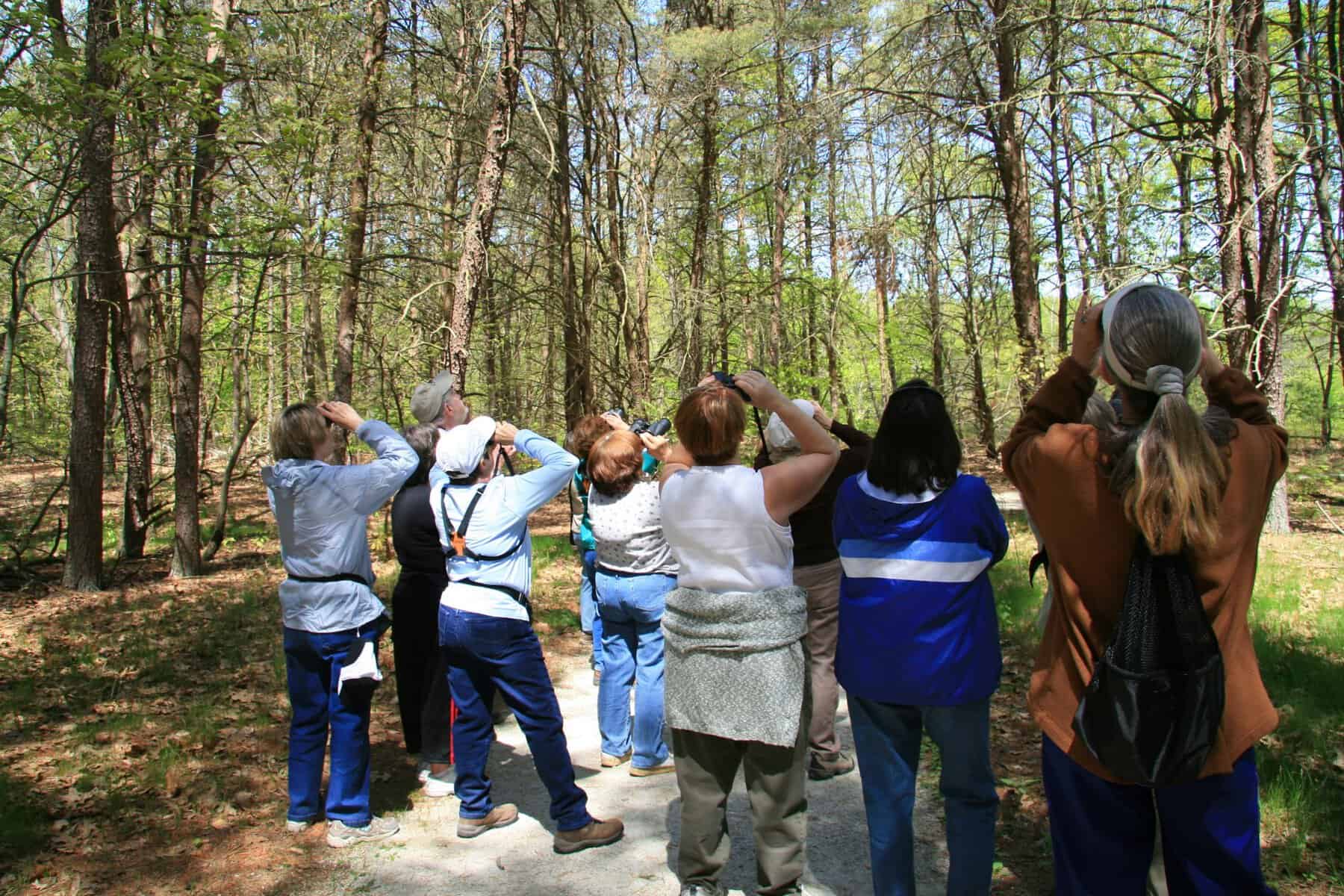 PHOTO COURTESY OF BURLINGTON COUNTY DIVISION OF PARKS