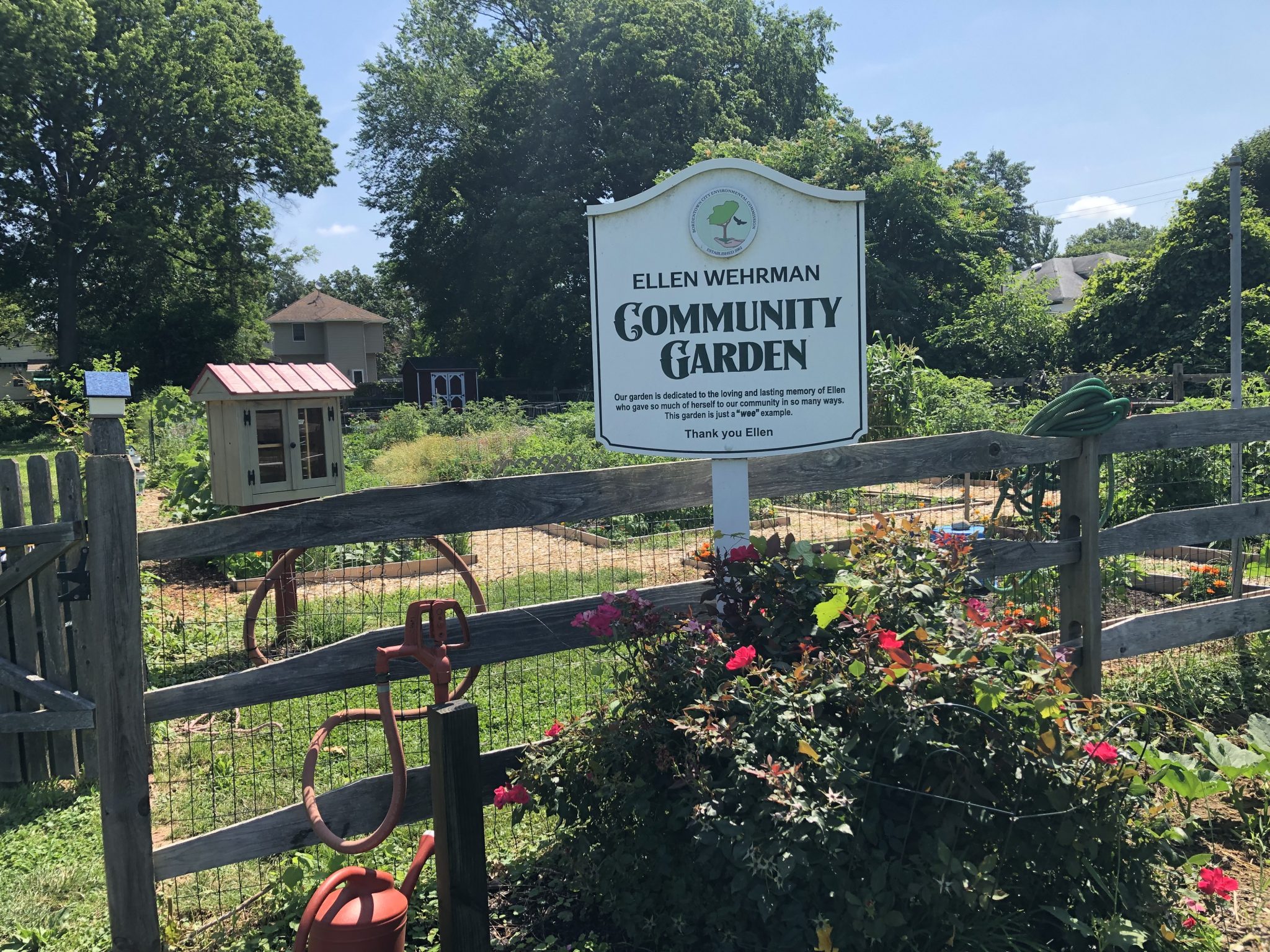 Bordentown City Community Garden is in full bloom