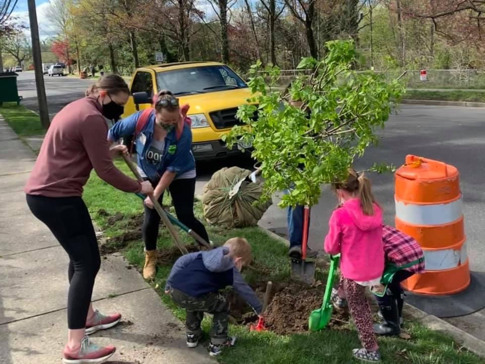 Bordentown City residents plant trees to liven up neighborhoods