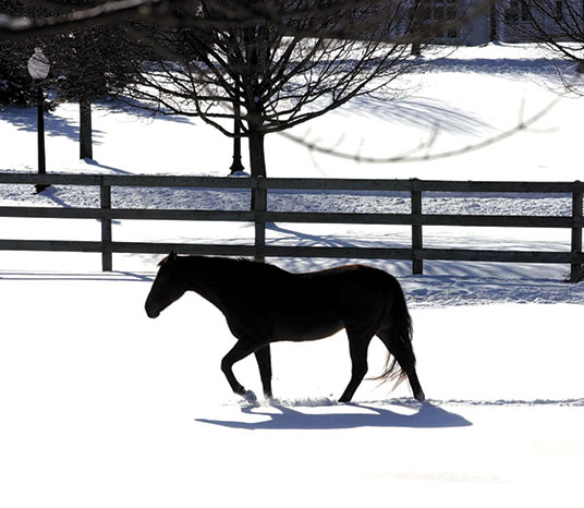 County preserves 17-acre horse farm in Monroe