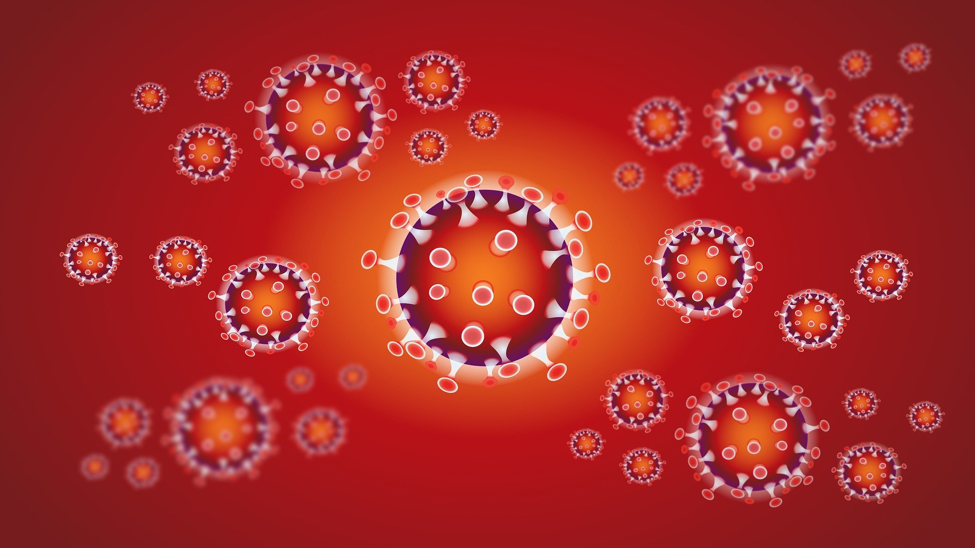 coronavirus