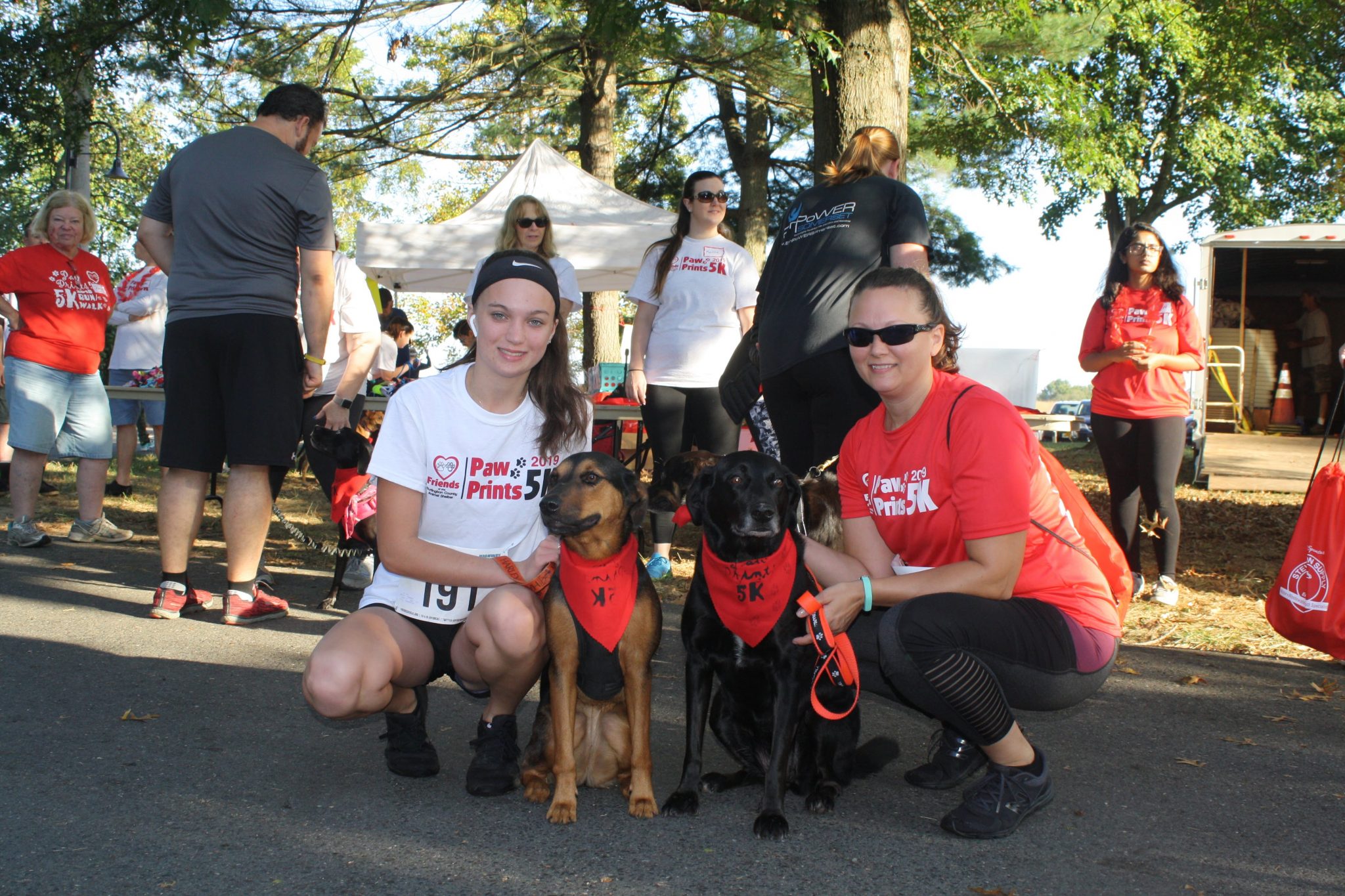 How to to help Burlington County gain ‘no-kill status’ : Friends of Burlington County shelter plans to raise funds at October event