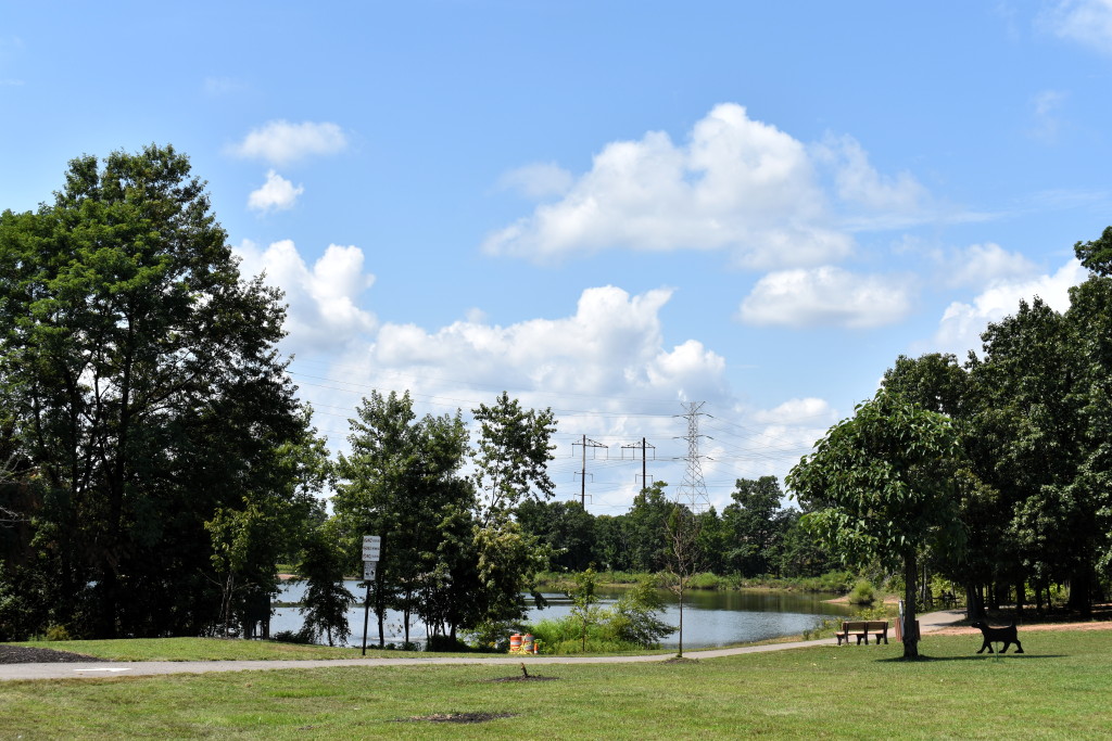 Levels of harmful algae found in Lake Papaianni Park