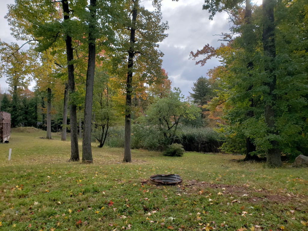 Edison, Metuchen call on county to help preserve ‘Lucille Ball Pond’