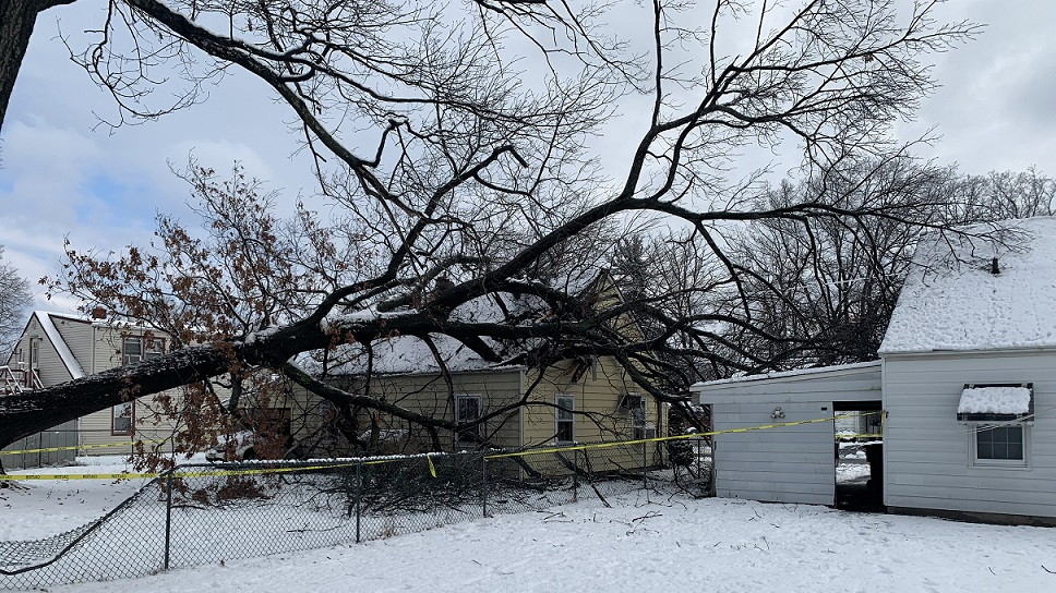 Mother, son safe after large tree slammed into their Edison home during snow storm