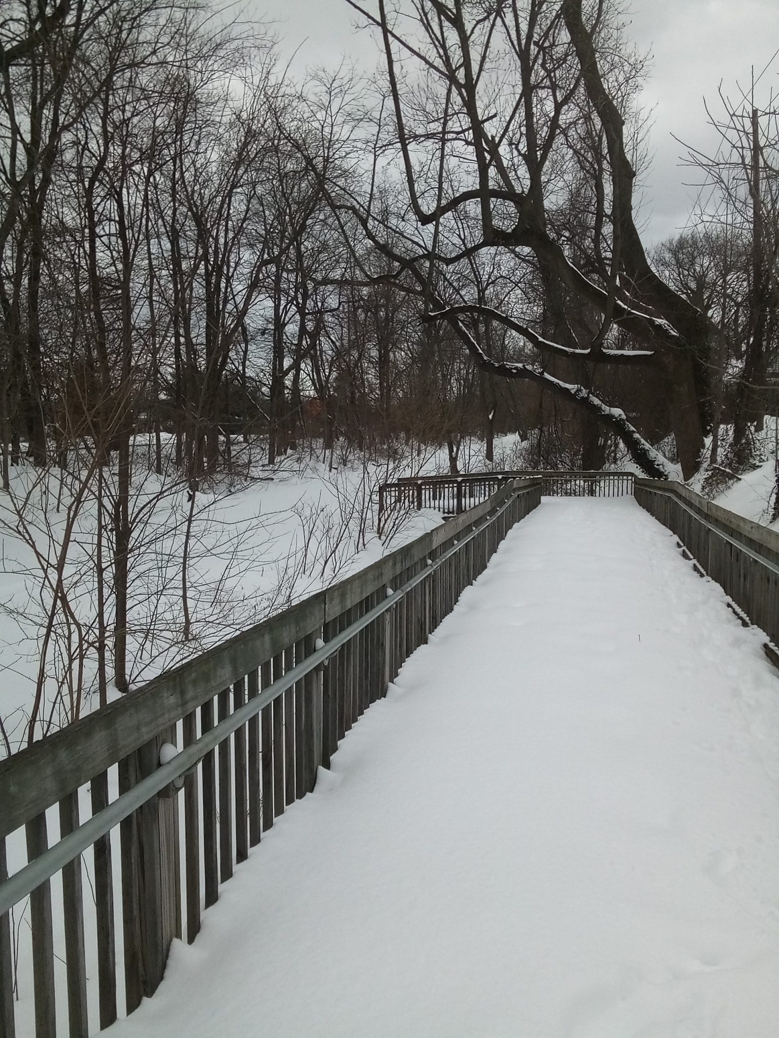 Middlesex Greenway blanketed by snow