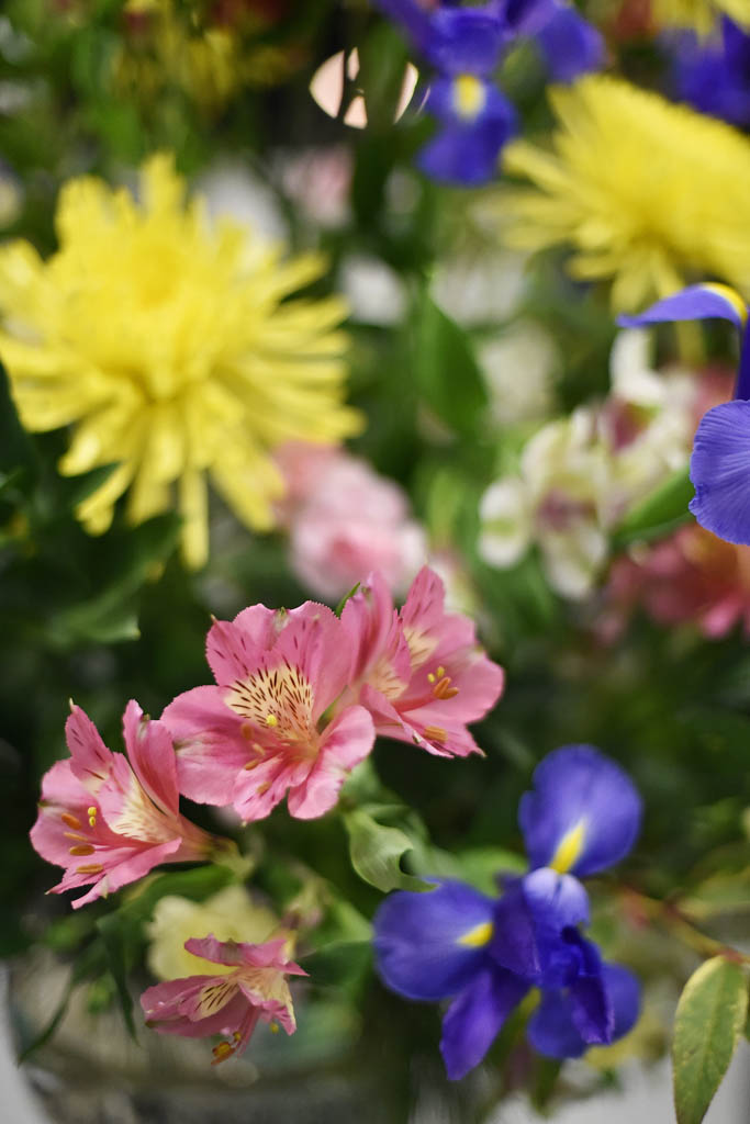 Sacred Heart Society to sell Valentine’s Day bouquets by Sacred Heart Church