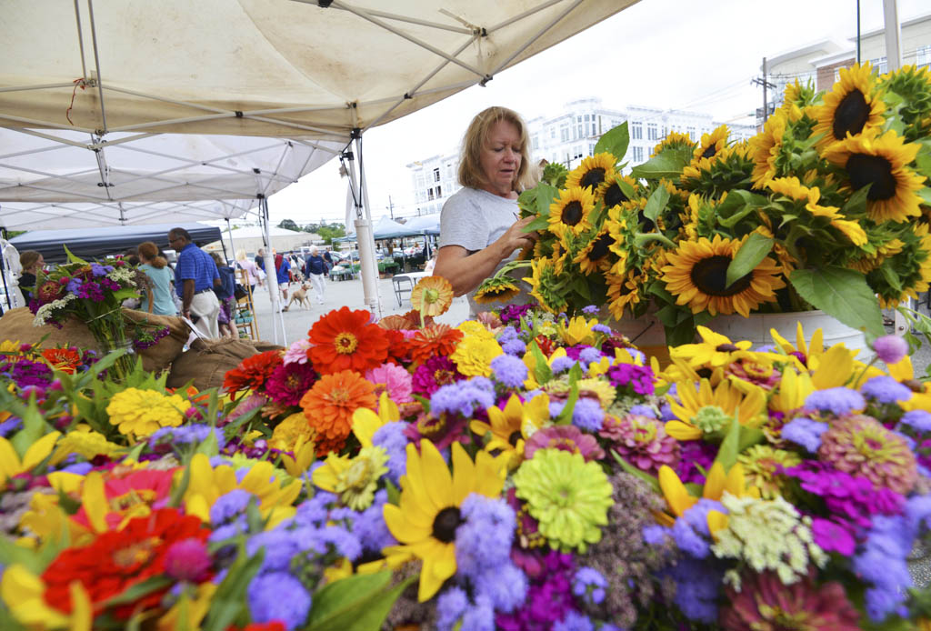 Sacred Heart society to sell mums Sept. 22-23