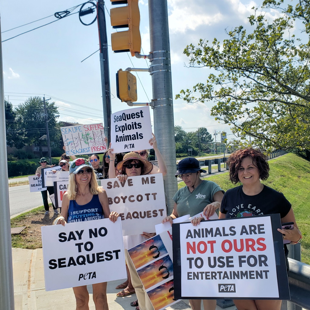 Grassroots group protests SeaQuest aquarium opening at Woodbridge Center Mall