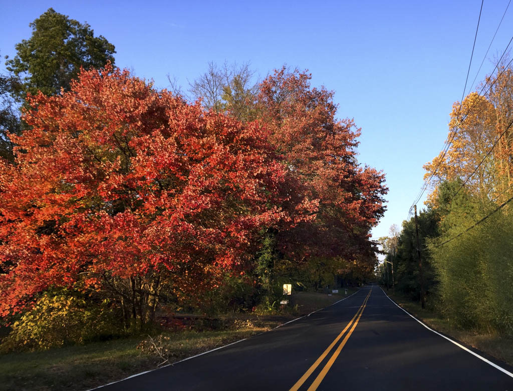 Cheesequake State Park offers various fall activities