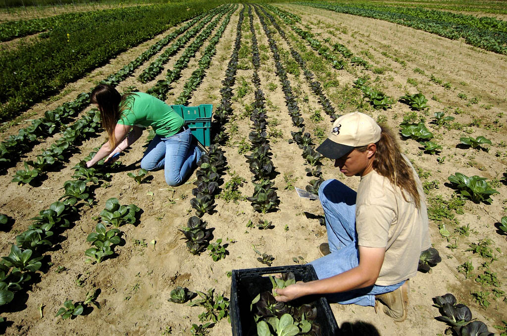 Learning about farming in the Millstone Valley on Nov. 13