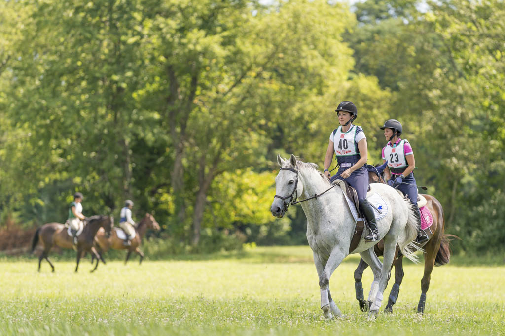 Dressage in the Park – July 9, 2017