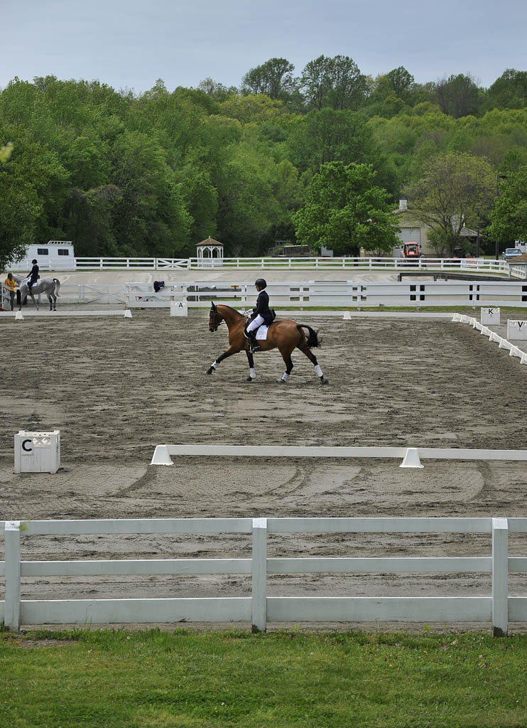 Freehold Raceway reopens for live harness racing Aug. 26