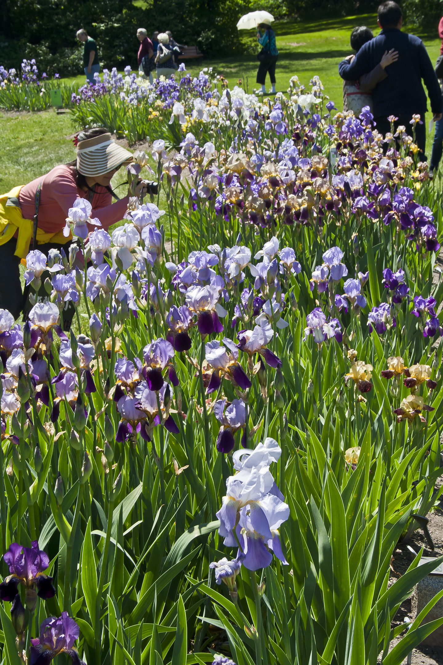 Art in The Garden Tour set in Metuchen