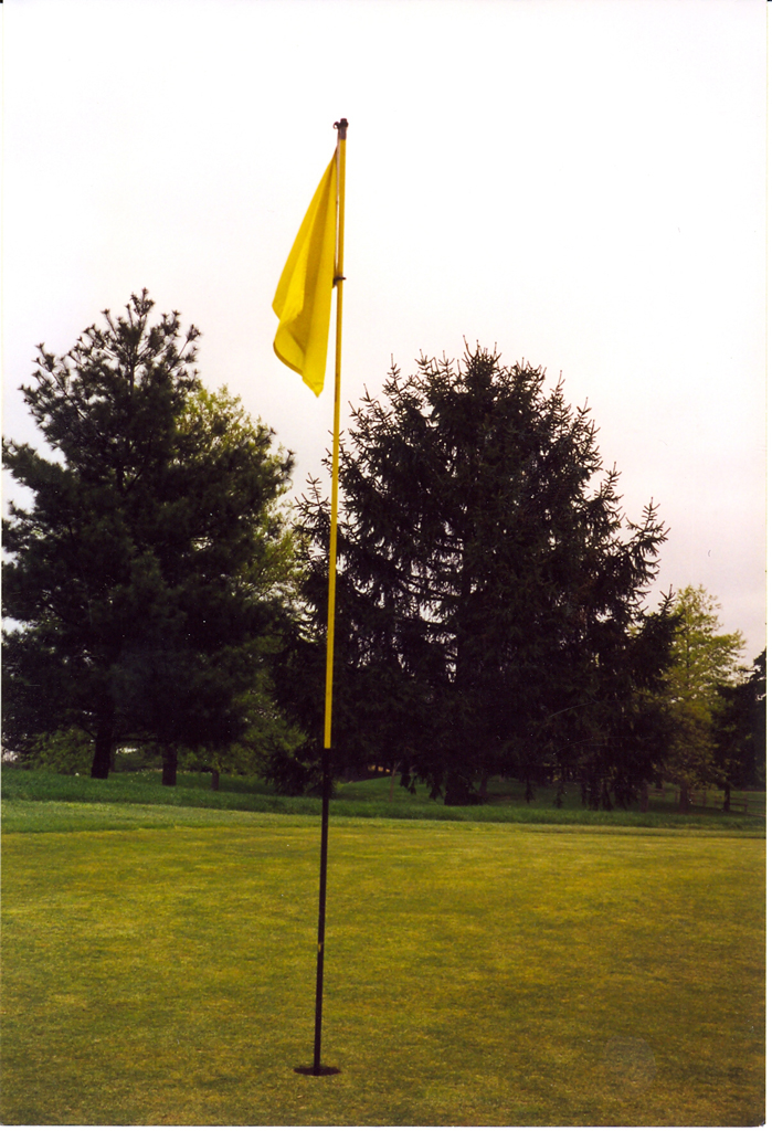 Proceeds from golf outing will repair damages at American Legion Post 62