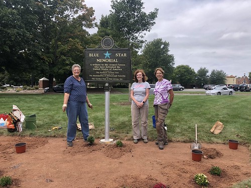 Township, Neshanic Garden Club install Blue Star Memorial