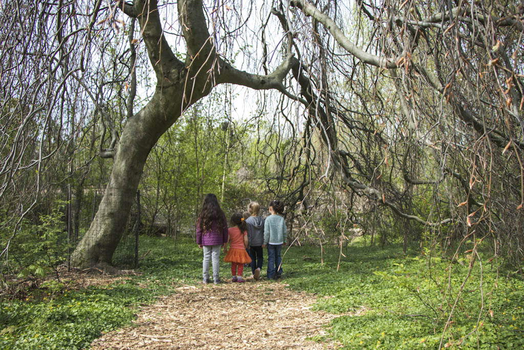 Take a trip through ‘Wild New Jersey’ at East Brunswick Library on Sept. 4