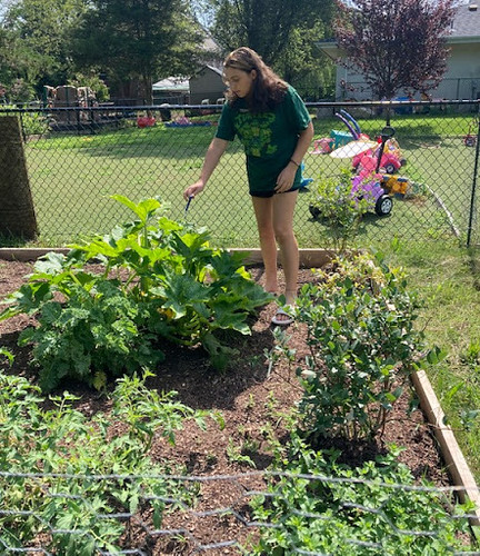 Girl Scout cadette’s Silver Award garden project is a lesson in giving