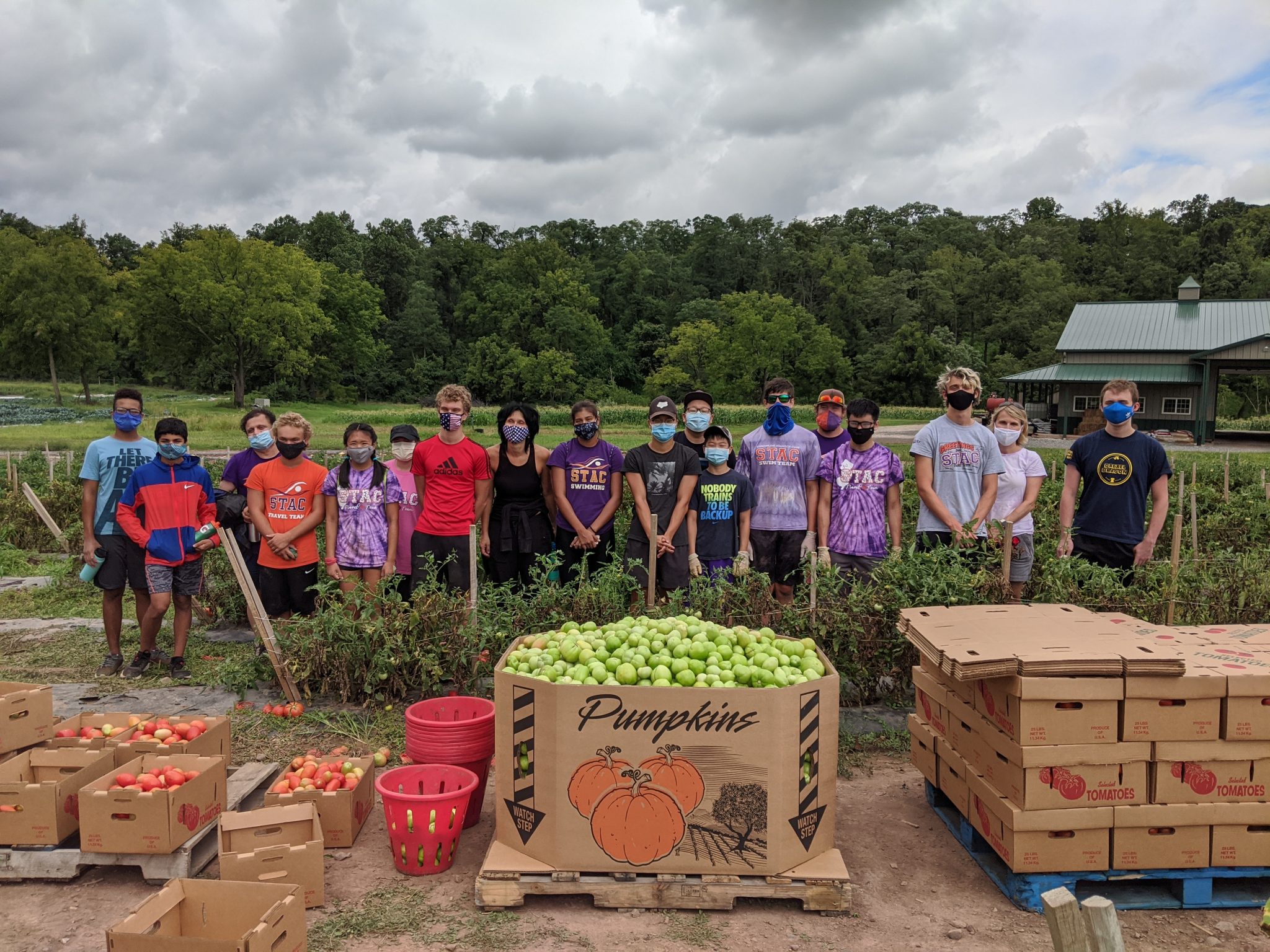 Streamline Aquatics Swim Team harvests thousands of pounds of produce