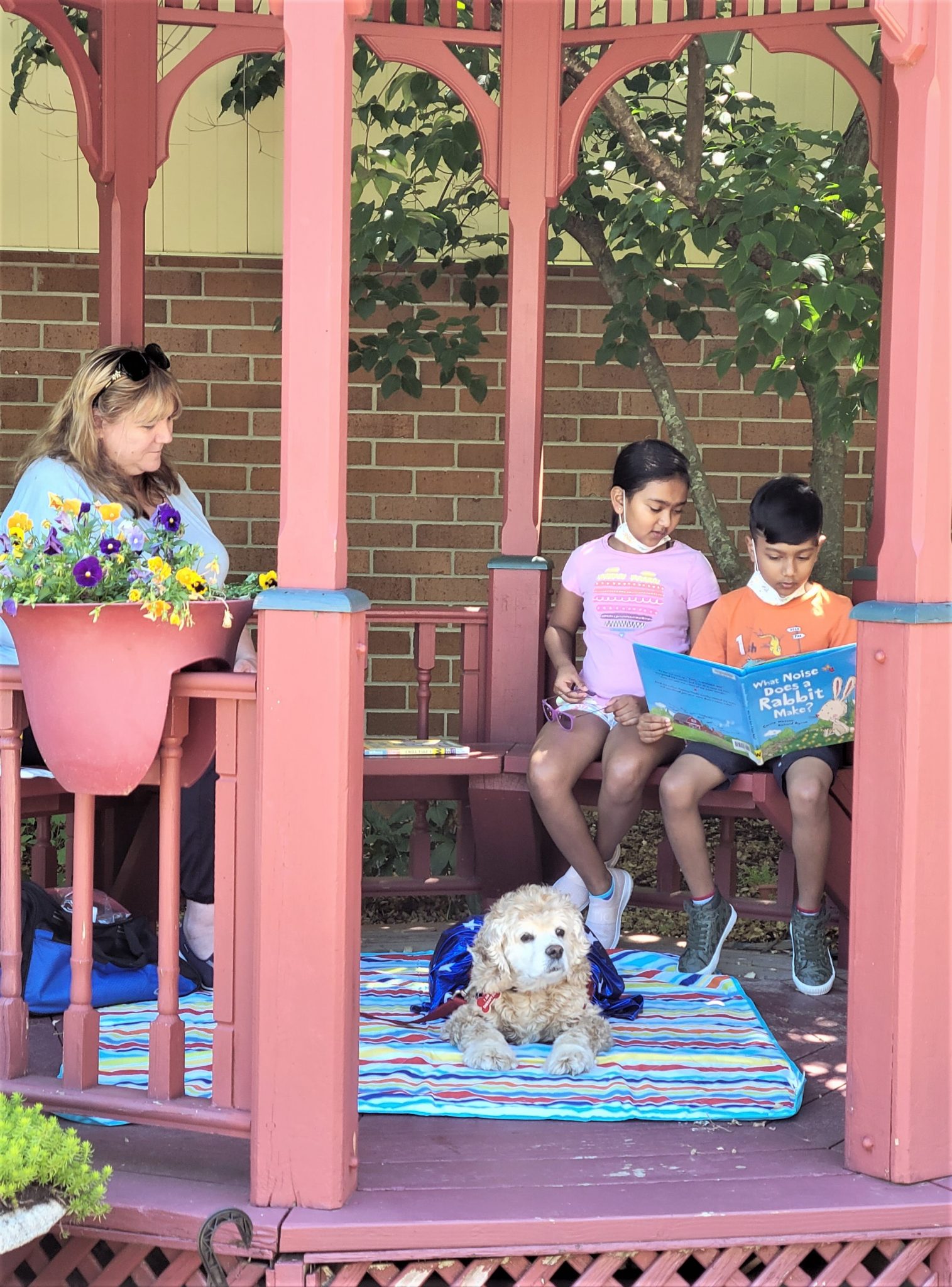 Children explore benefits of reading to a therapy dog