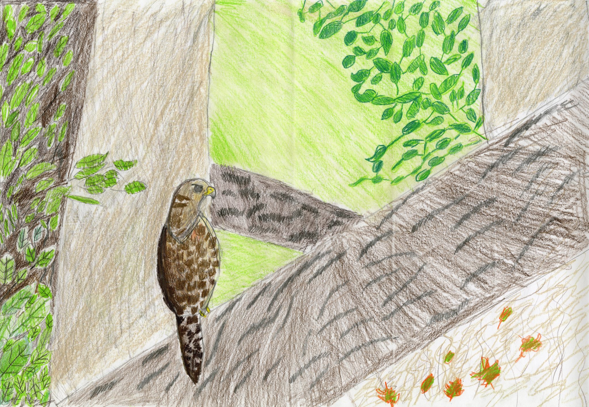 Auten Road Intermediate School student is Somerset County winner of wildlife contest