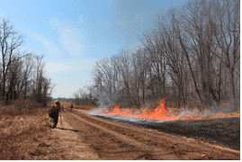 Mercer County Park Commission to conduct prescribed burns at Mercer Meadows, Baldpate Mountain