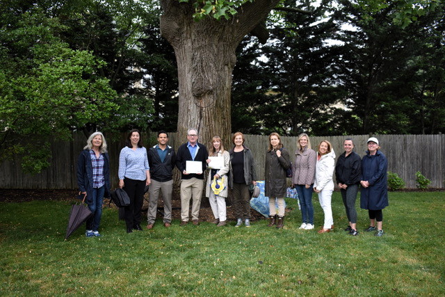 Fair Haven tree wins third place in New Jersey Big Tree Hunt