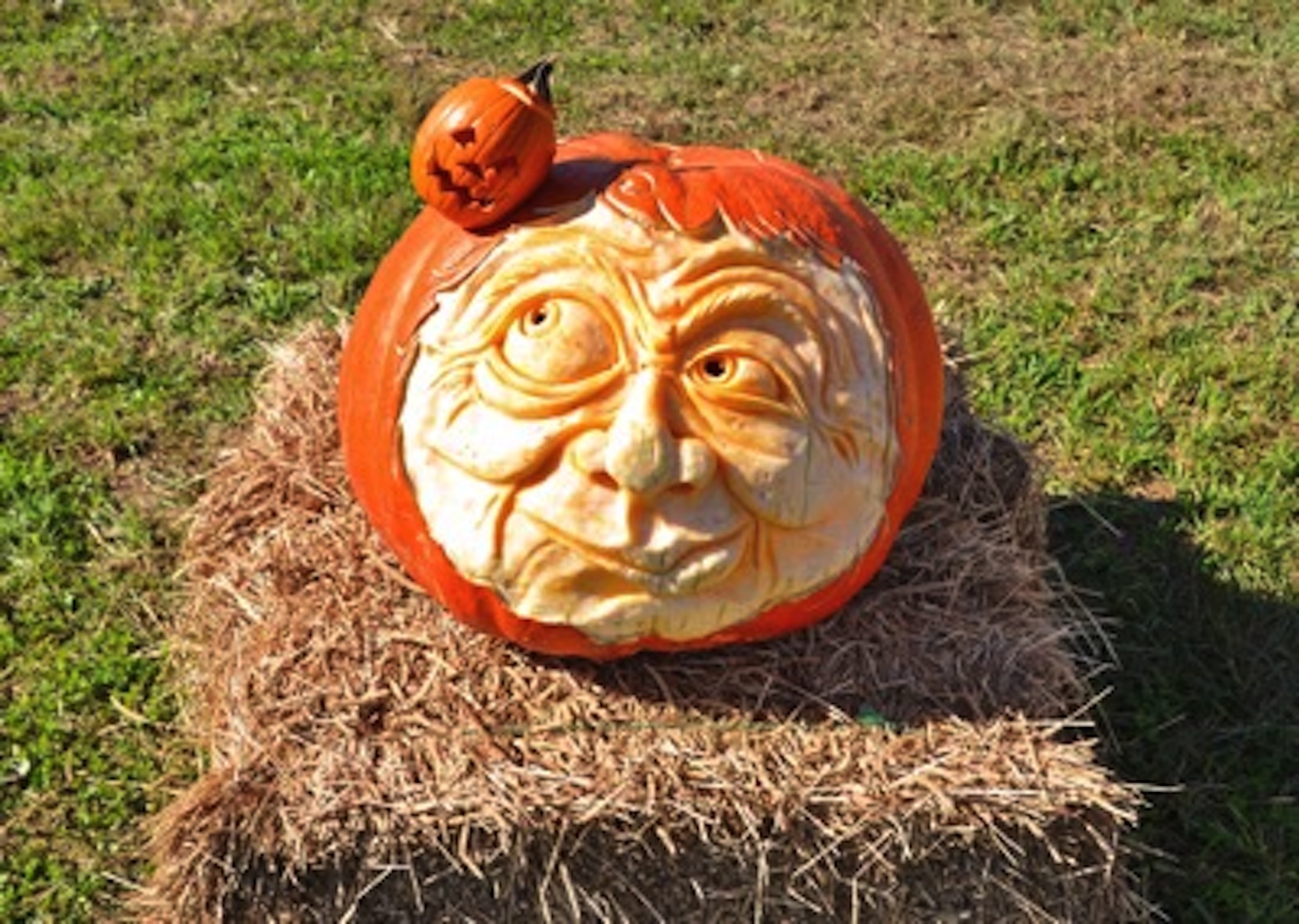 Amazing Pumpkin Carve returns to Hopewell Valley showcasing Halloween art