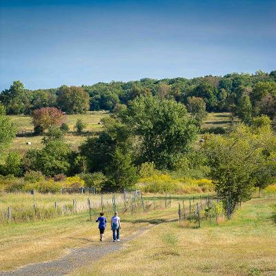 D&R Greenway Land Trust climate project combines organic agriculture with soil improvements